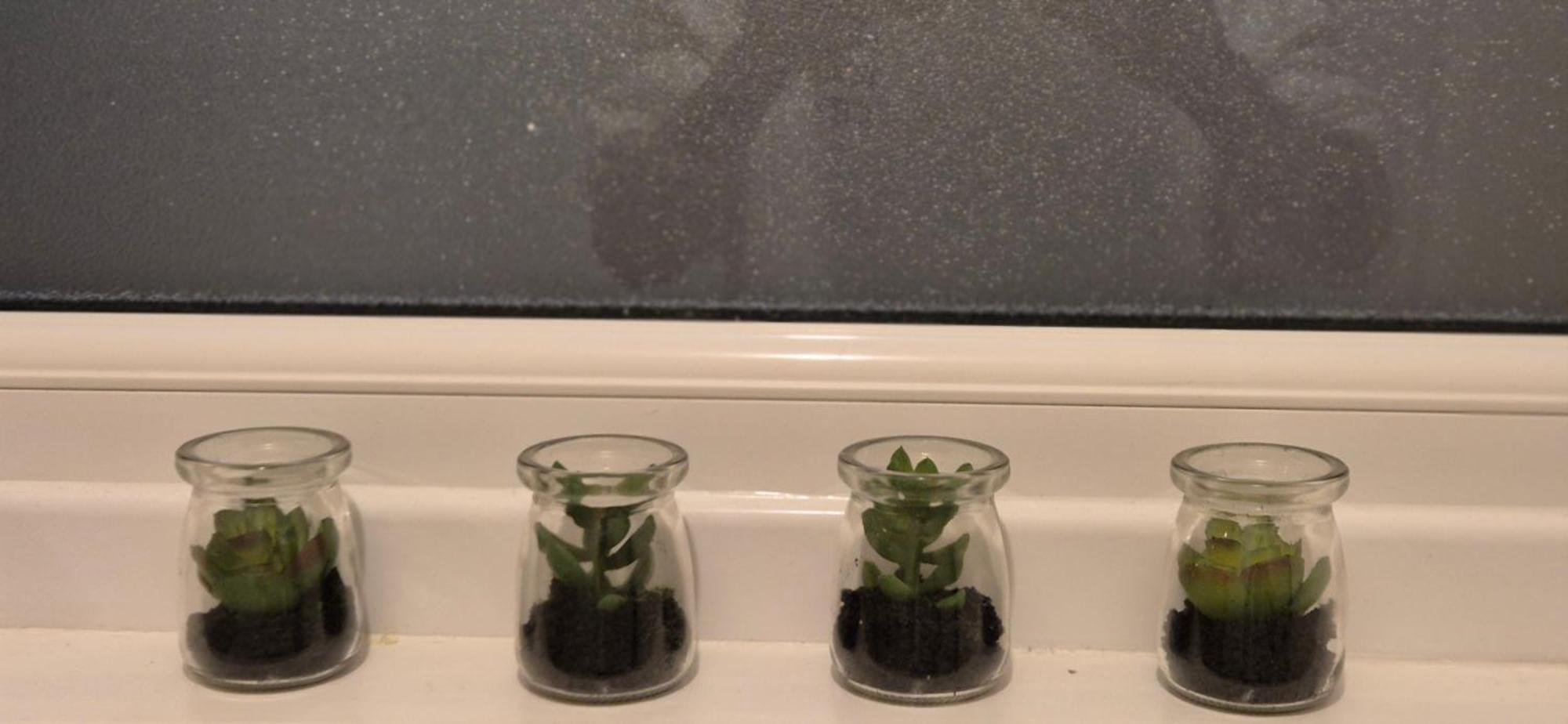 Whole Private Flat - Dublin